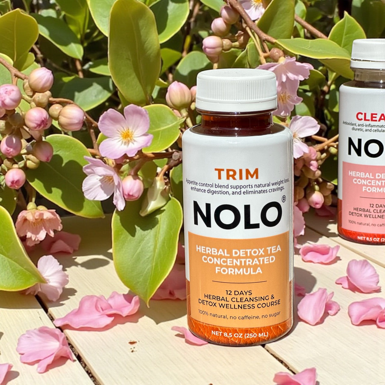 Healing the Body and Soul with NOLO — Natural Detox and Transformation